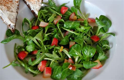 Sopa De Sopa Ensalada De Can Nigos Con Vinagreta Templada De R Banos