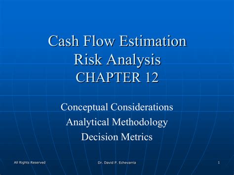 Cash Flow Estimation Risk Analysis