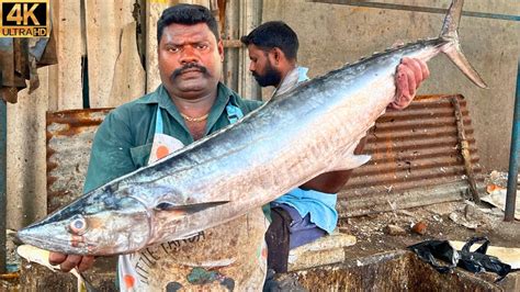 KASIMEDU SPEED SELVAM 12 KG BIG SEER FISH CUTTING IN KASIMEDU