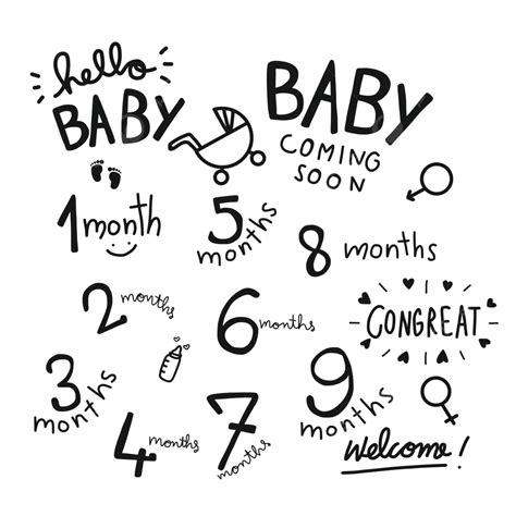 1 9 Months Baby Word Vector Set Illustration Coming Doodle Lettering