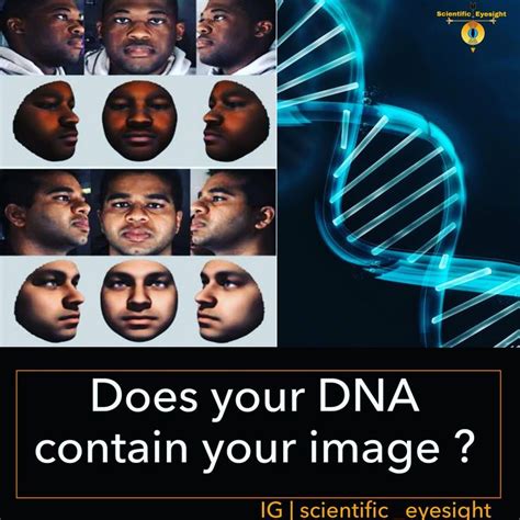 Scientists Reconstruct Face By Using Dna Genetic Information Dna