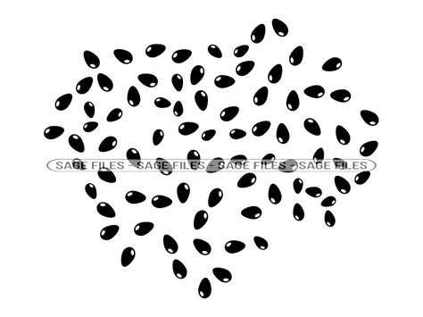 Watermelon Seeds Svg Seeds Svg Seeds Clipart Seeds Files Etsy