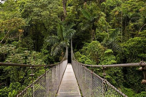 Tripadvisor Excursión Combinada 3 En 1 En Arenal Puentes Colgantes