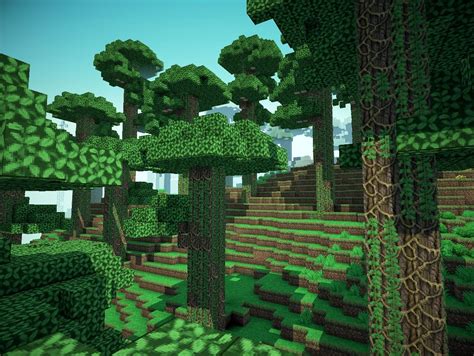 Jungle Biome Minecraft Map