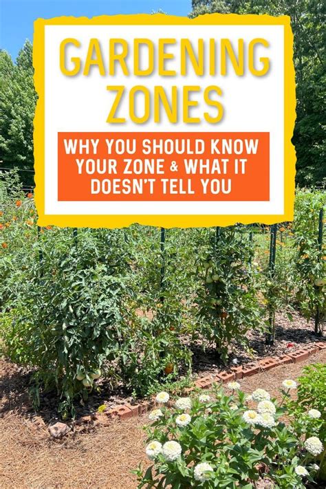 Finding Your Gardening Zone | Zone 9 Gardening