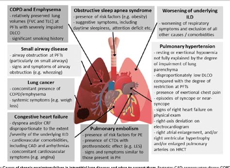 Understanding Chronic Respiratory Failure -Symptoms, Causes, Diagnosis ...