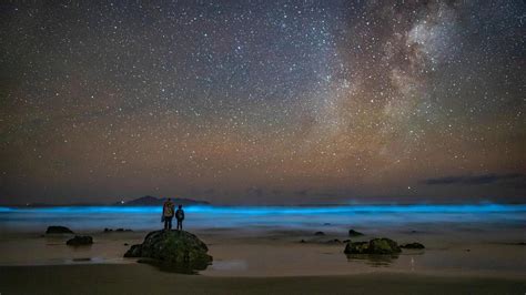 La Bioluminescence En Photos Voici à Quoi Cela Ressemble Dans La Mer