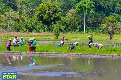 Urban Farming Sa Bansa Palakasin Solusyon Sa Mataas Na Bilihin