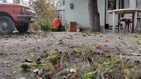 Autumn In De Tuin Pornhub Gay