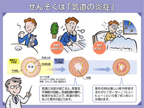 喘息・気管支炎の治療は日野市鈴木内科クリニック 医療法人社団仁智会