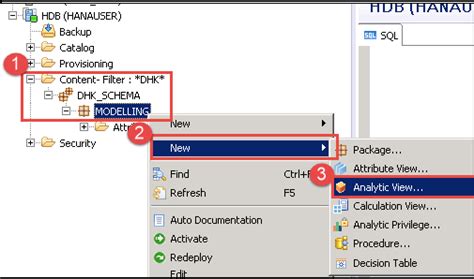 Sap Hana Analytic View Easysap