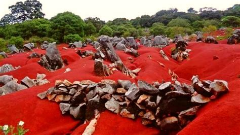 ¡sorprendente Conoce Las Extrañas Dunas Rojas En éste Pueblo De