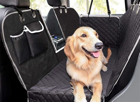 C Mo Llevar Las Mascotas En El Coche De Viaje