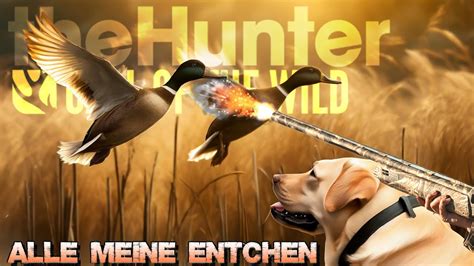 Alle Meine Entchen Wilde Entenjagd In Finnland Thehunter Call Of