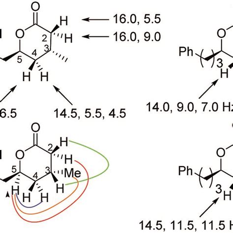 Selected Nmr Coupling Constants For Lactones 10 11 And 12 And Noe