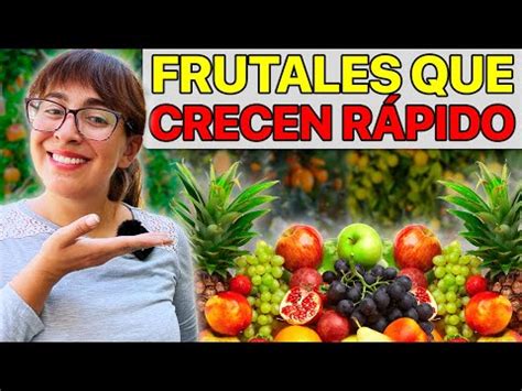 Los mejores árboles frutales para cultivar en casa