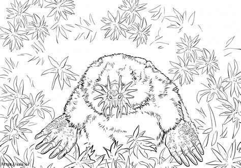 Realistic Star Nosed Mole coloring page
