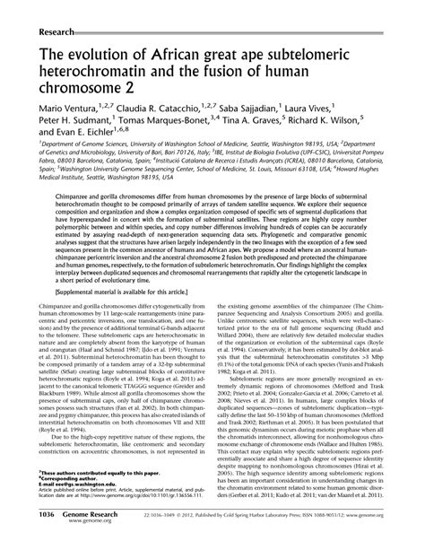 Pdf The Evolution Of African Great Ape Subtelomeric Heterochromatin