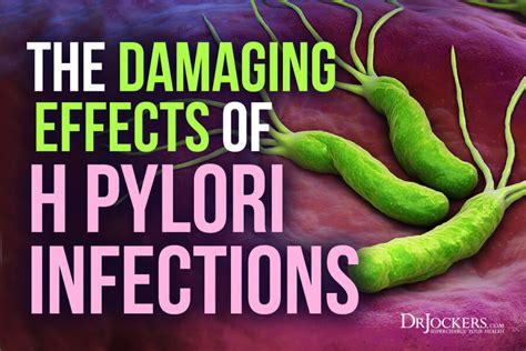 The Damaging Effects of H Pylori Infections - DrJockers.com