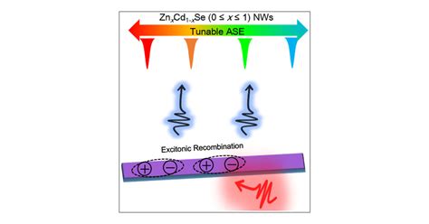 Charge Carrier Dynamics And Broad Wavelength Tunable Amplified