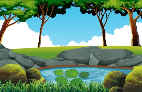 Premium Vector Background Scene With Pond In The Field