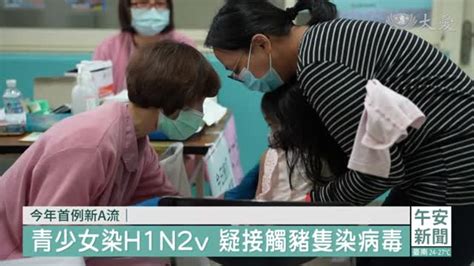 今年首例新a流 青少女染h1n2v疑接觸豬隻