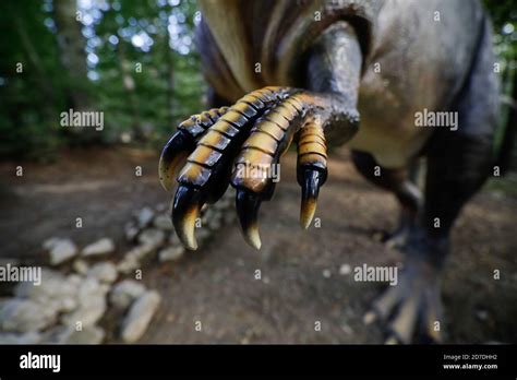 Garras Depredadoras Fotografías E Imágenes De Alta Resolución Alamy