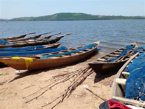 Stripping The Weija Reservoir Naked Ghana News Agency