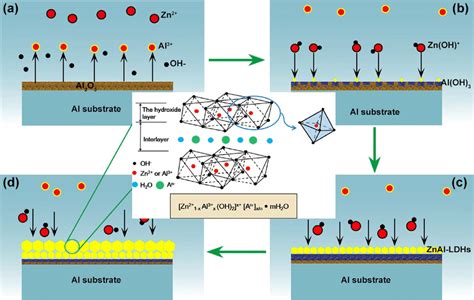 Schematic Illustration Of The Growth Of The Znal Ldh Film Reprinted Download Scientific