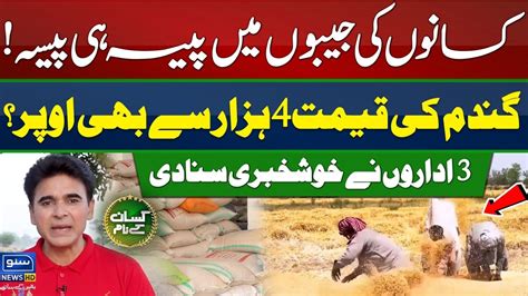 Punjab Govt Pasco Announces To Purchase Wheat Wheat Procurement