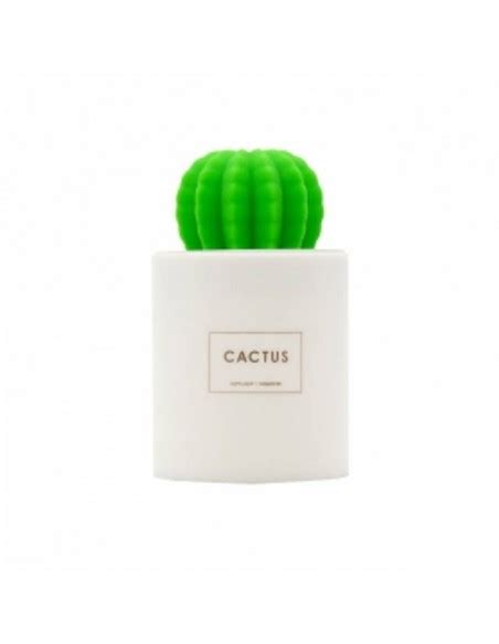 La Casa De Los Aromas Nawil Acz Powietrza Cactus Szt