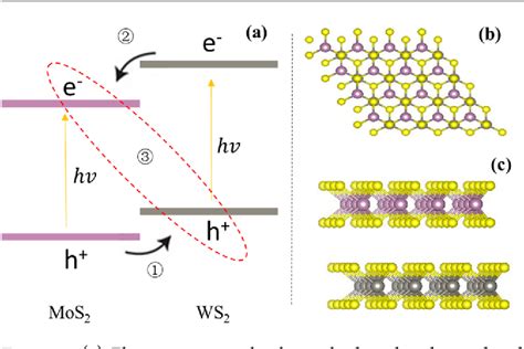 Figure 1 From Charge Separation And Recombination In Two Dimensional