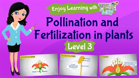 Pollination And Fertilization In Plants Science Tutway Youtube