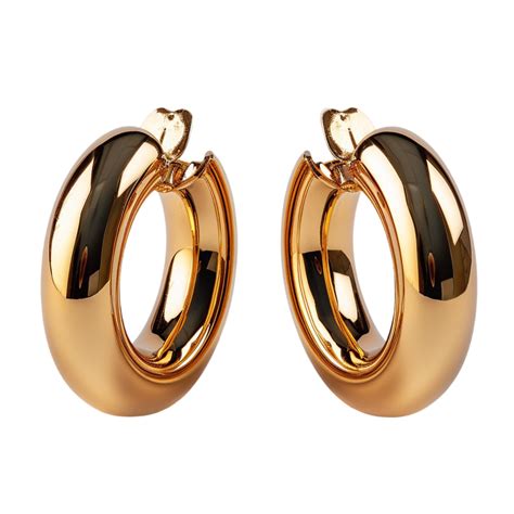 Gold Hoop Earrings 48385221 Png