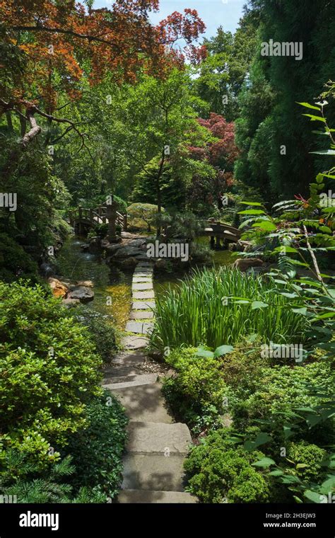 Ein Steinpfad Durch Das Wasser Im Japanischen Gartenabschnitt In