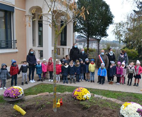 Pollionnay Les enfants plantent un arbre de la Solidarité devant la mairie