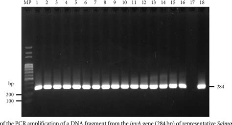 PDF Molecular Detection Of Virulence Factors In Salmonella Serovars