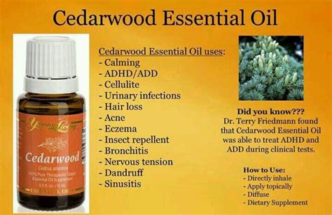 Cedar Wood Cedarwood Essential Oil Uses Essential Oil Uses Cedarwood Essential Oil