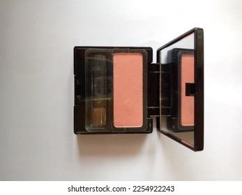 Beautiful Nude Pink Color Makeup Brush Stock Photo Shutterstock