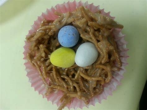 Edible birds nest | Edible bird's nest, Edible, Bird nest