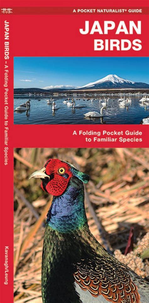 Japan Birds A Folding Pocket Guide To Familiar Species Nhbs Field