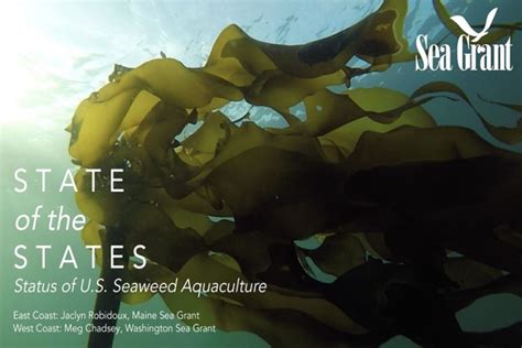 State Specific Resources National Seaweed Hub