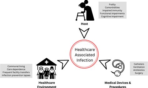 Health Care Associated Infections In Older Adults Infectious Disease