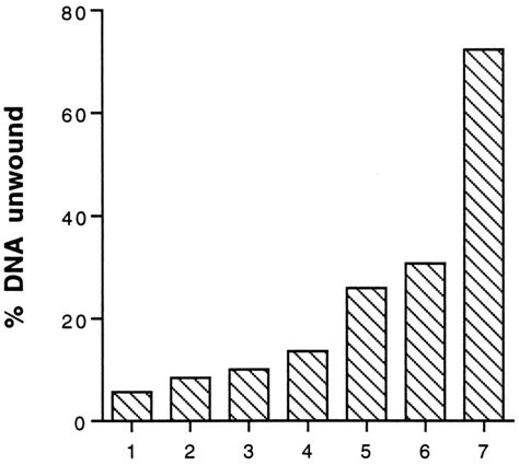 The Ul Subunit Of The Herpes Simplex Virus Type Dna Helicase Primase