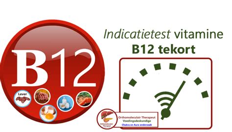 B12 Feitenonderzoek Combinatieanalyse Voor Foliumzuurtekort