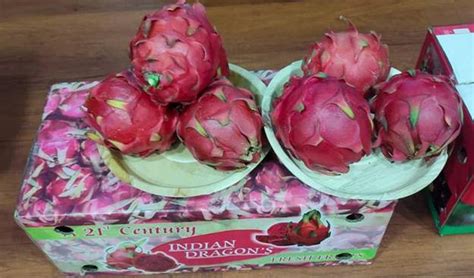 Apeda Uas B Kappec Host Buyer Seller Meet On Dragon Fruits In