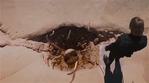 Meg Sarlacc