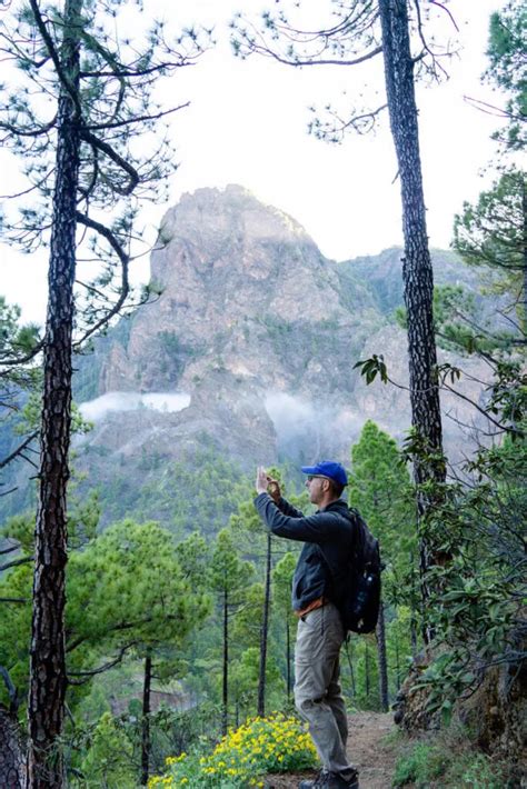 6 Amazing La Palma Hiking Trails - Family Can Travel