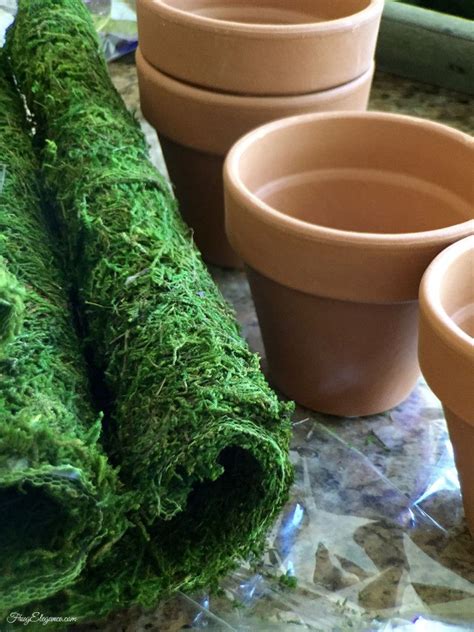 Spring Moss Covered Pots Frugelegance