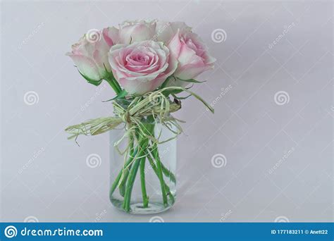 Still Life With Pink Roses In Vase Stock Image Image Of Plant